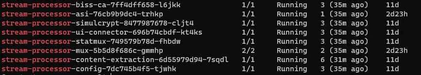 1 using kubectl