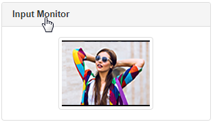 view status service input monitor cp